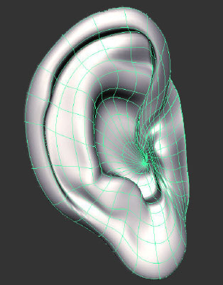 Left Ear