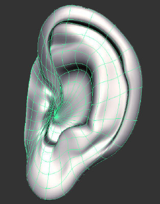 Right Ear